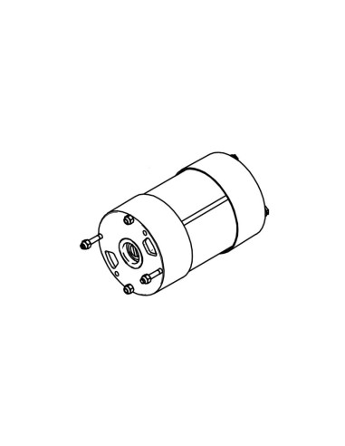 Repuesto ERREKA VULCAN motor para bomba engranes (integrada) 220v
