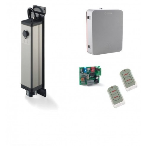 Kit Motor CICLON CLS210F ERREKA Puerta Batiente