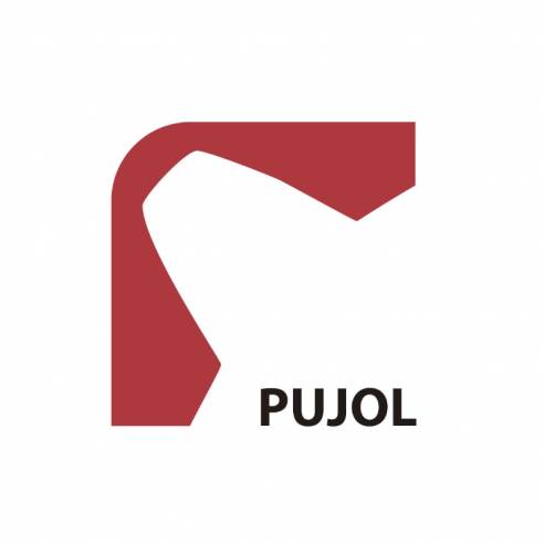 Disco de electrofreno para PUJOL WINNER
