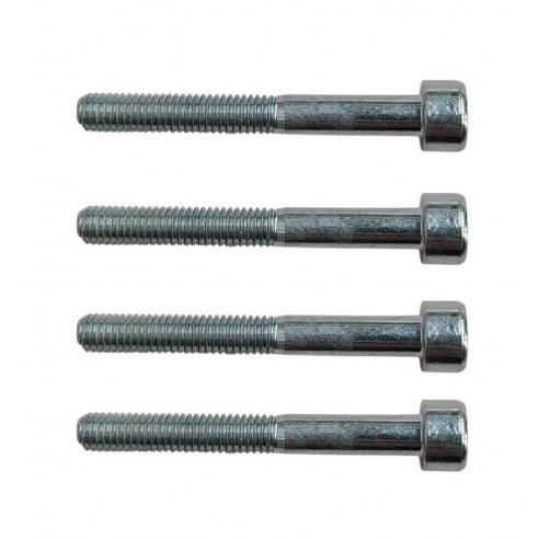 Kit 4 tornillos 5x40 para nuevos Nice Spido/Spider en guías Spin