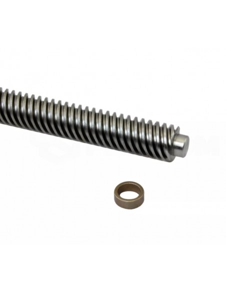 Repuesto grupo tornillo sinfin para motor Nice MB4015/MB4615/MB4024