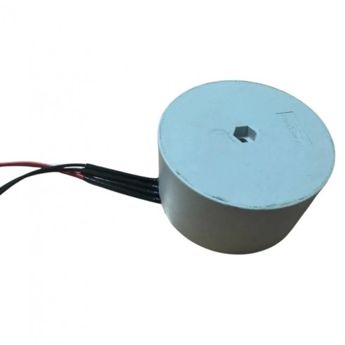Transformador para PUJOL MARATHON DC 700 Kg 24v