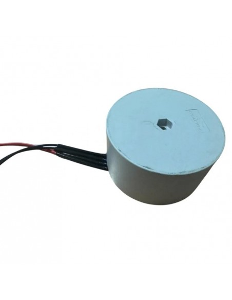 Transformador para PUJOL MARATHON DC 700 Kg 24v