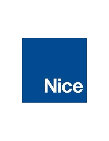 Repuestos de Nice
