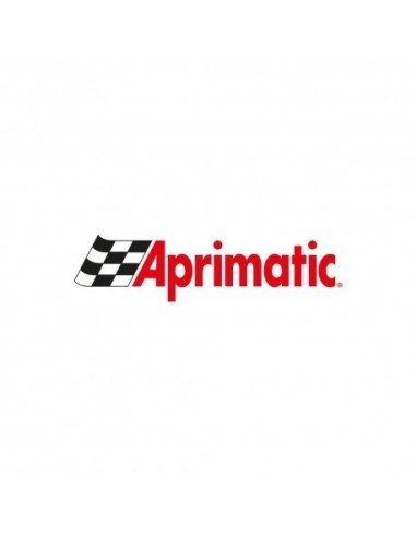 Repuesto motorreductor para motor APRIMATIC REDMATIC